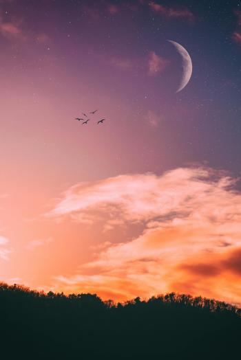 Fondo de pantalla de Cielo estrellado y luna creciente, fondo de pantalla hermoso.