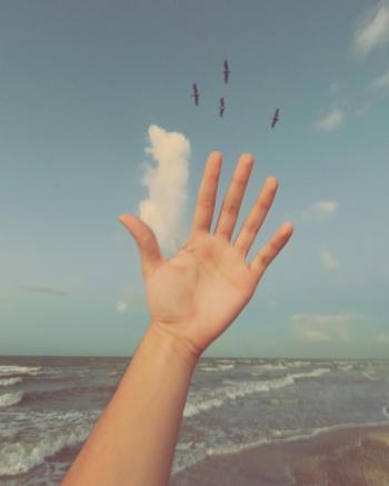 Fondo de pantalla de Foto de Mano apuntado al cielo, rodeada por pajaros, playa y mar.