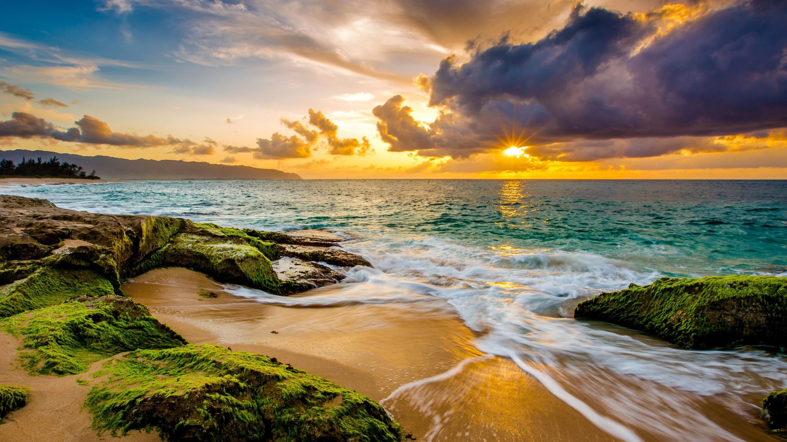 Hawaii 2560x1440 sunset beach ocean coast sky 4k