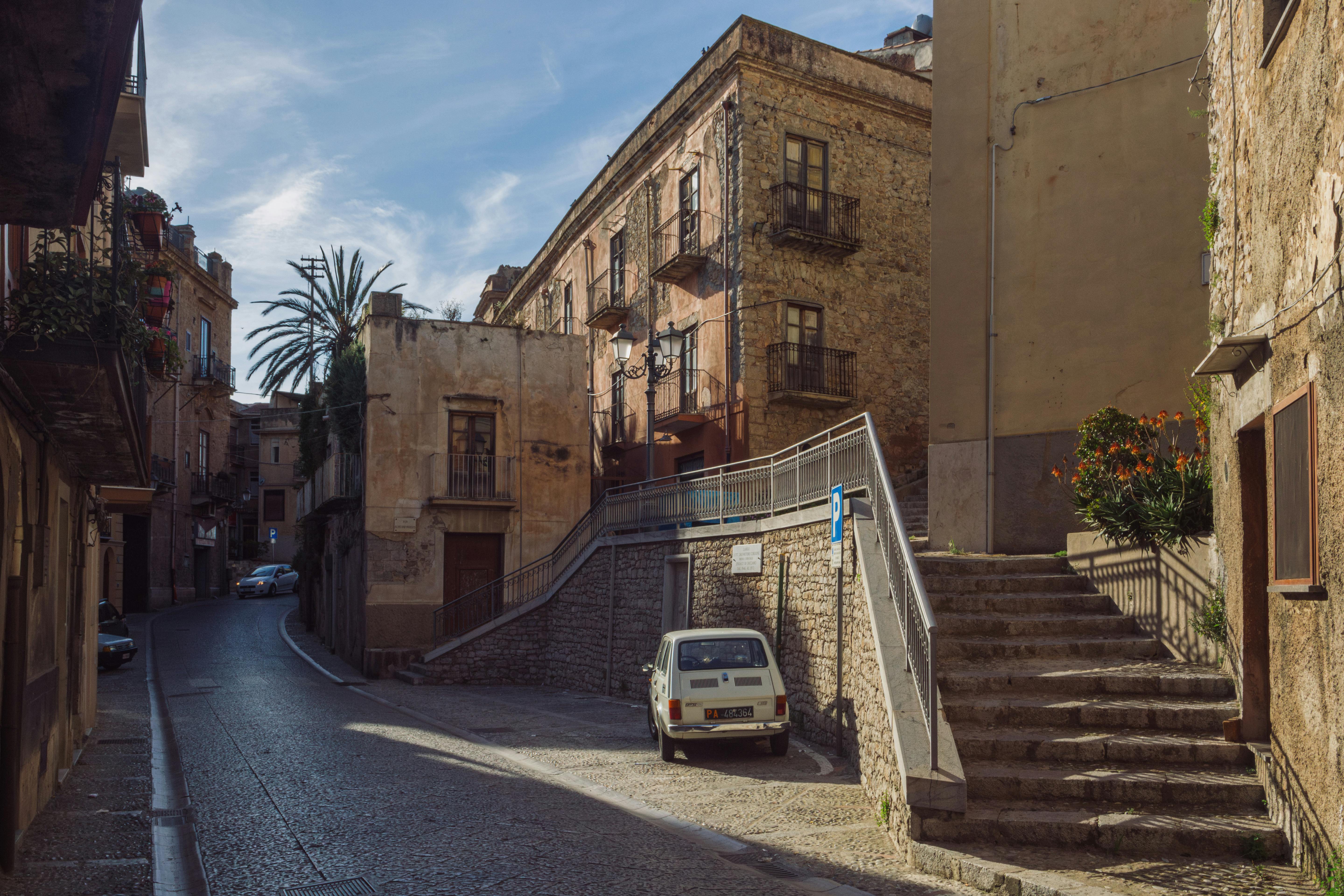 Calle tranquila con palmera, fondos de pantalla artísticos, paisajes urbanos.